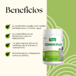 condri-plus-300