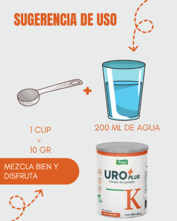 Inicio 53 LATA 350 GR 3