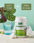 condri-plus-300