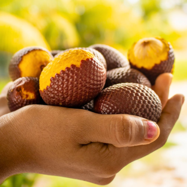 🌴 6 beneficios del aguaje para la salud femenina y el equilibrio hormonal natural